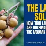 the lamyai solution