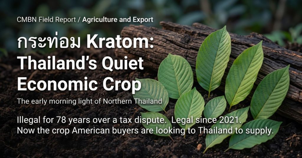 kratom thailand research cmbn